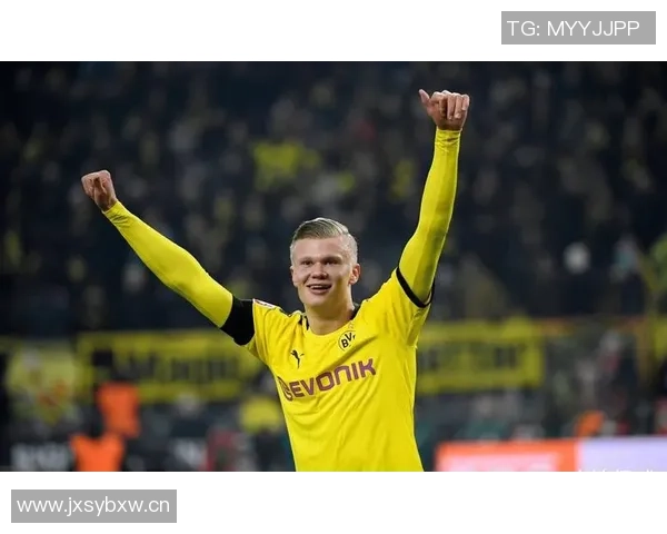 迪尼谈哈兰德影响力多支球队纷纷引进北欧前锋提升实力