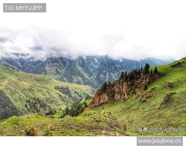 半岛都市报：新疆男篮状态平平今晚雄鹰力争首次突破天山高峰